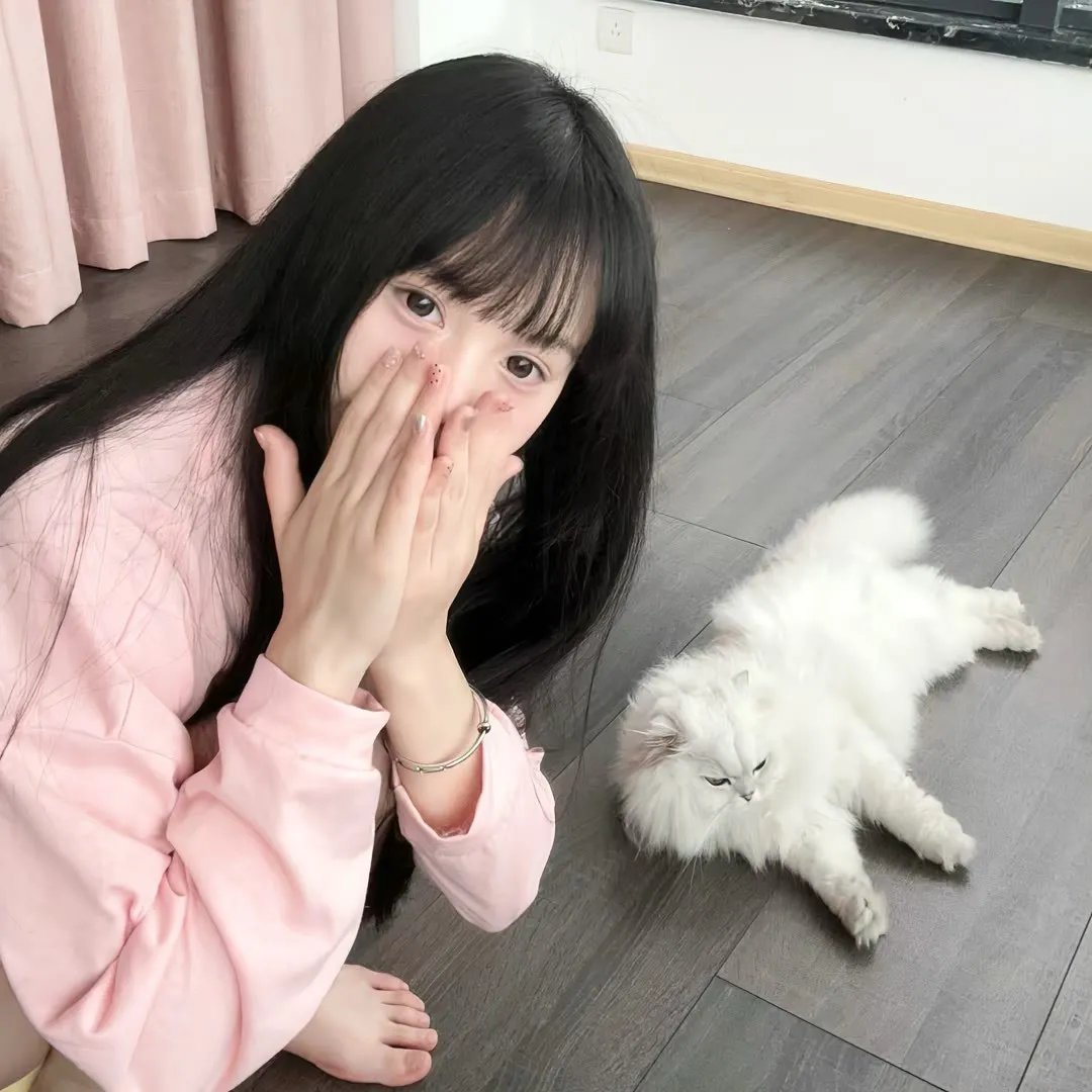 丑闻录带大阴谋