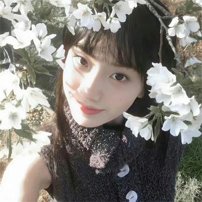 盲少爷的小女仆