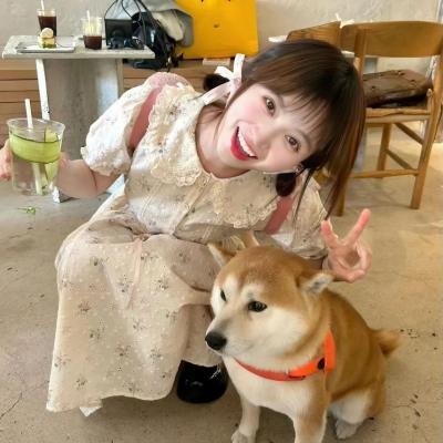 白狐仙