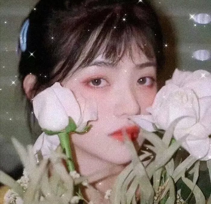 新手老卧底